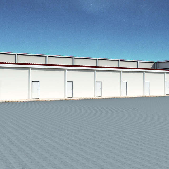 Economical Fast-Assembling Prefabricated Warehouse/Batiment