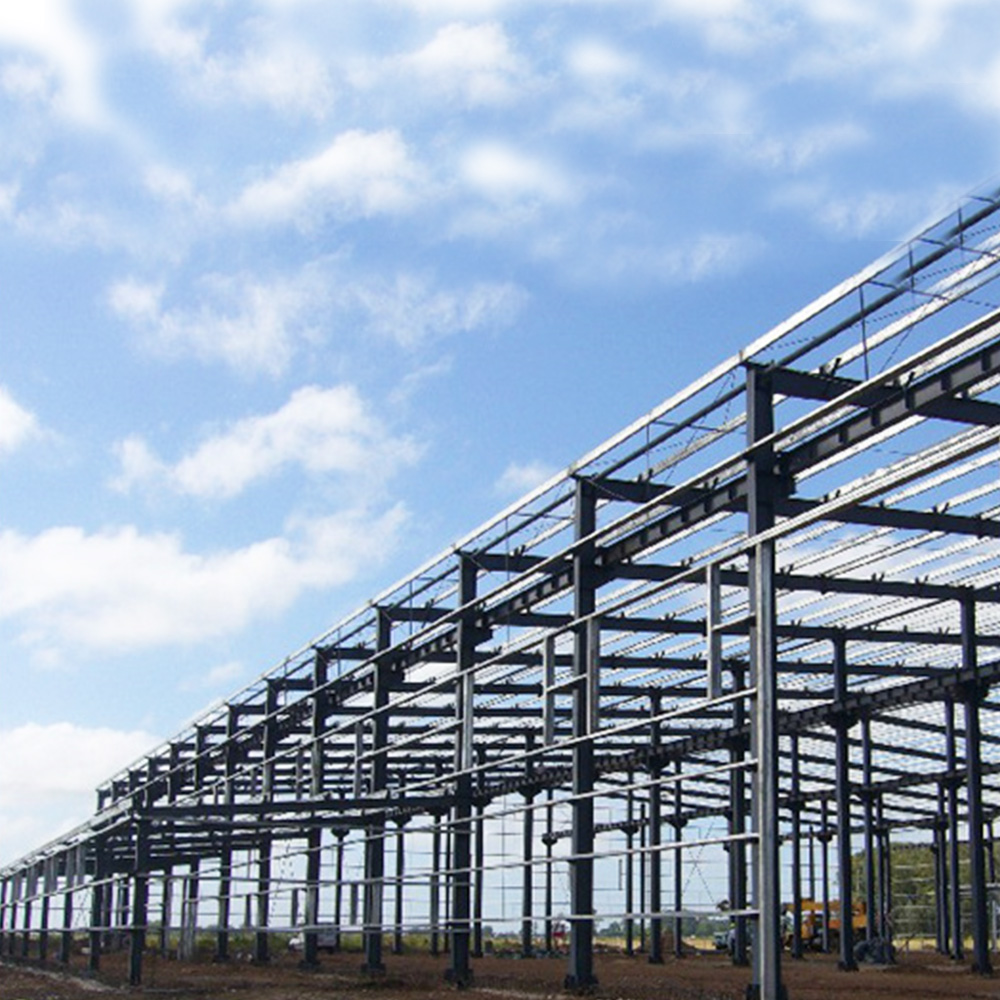 Building with Steel Frame