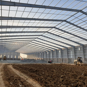 Building with Steel Frame